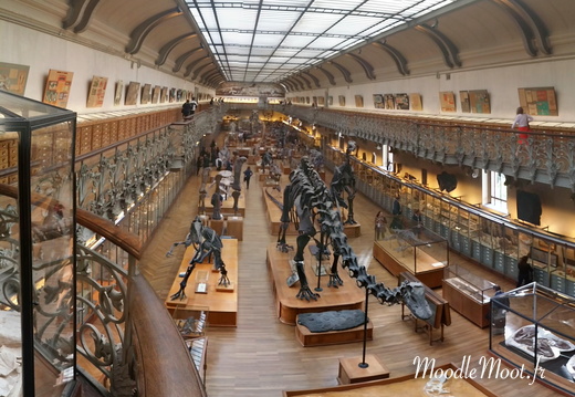 PANO 20140604 191650
