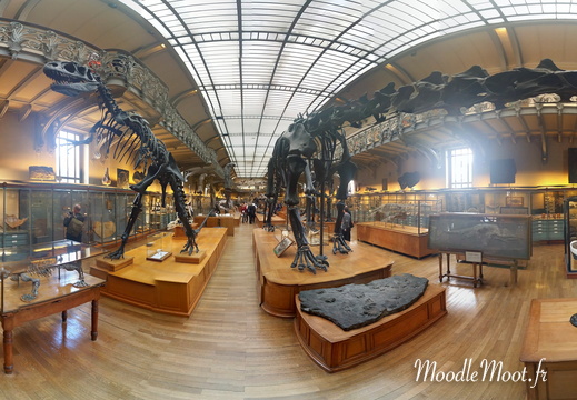 PANO 20140604 192002