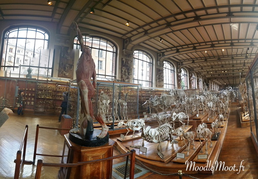 PANO 20140604 192408