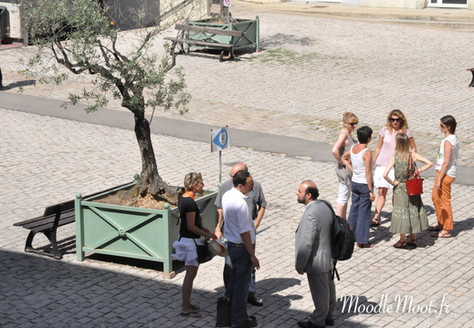 Photo 023