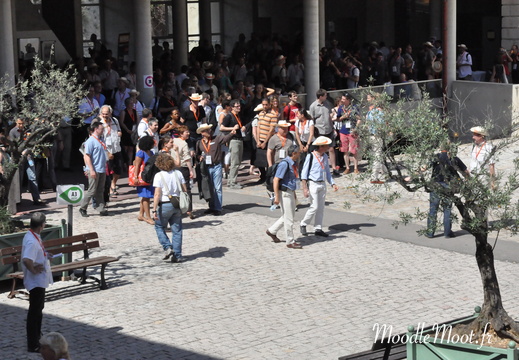 Photo 026
