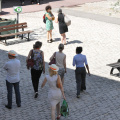 Photo 019