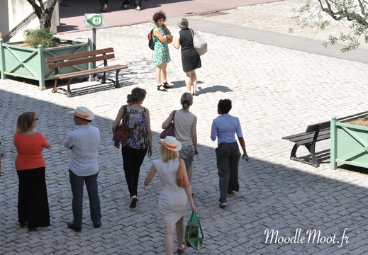Photo 019