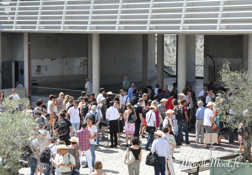 Photo 031
