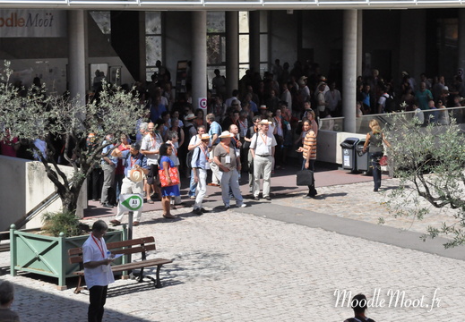 Photo 025