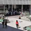 Photo 012