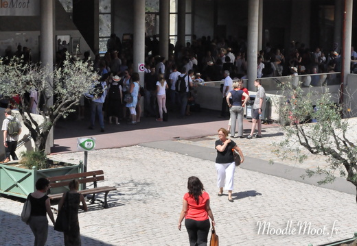 Photo 012