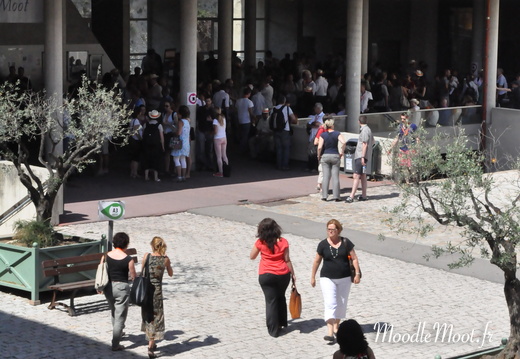 Photo 013