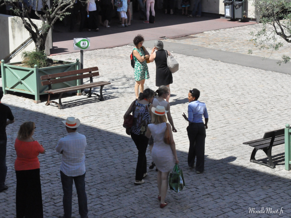 Photo 020