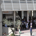 Photo 017