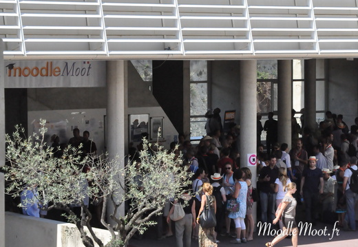 Photo 015