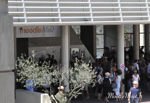 Photo 016