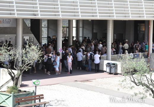 Photo 018