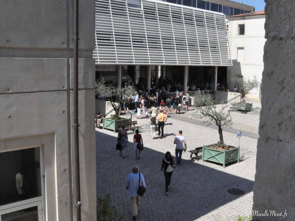 Photo 011