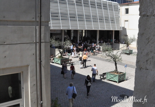 Photo 011
