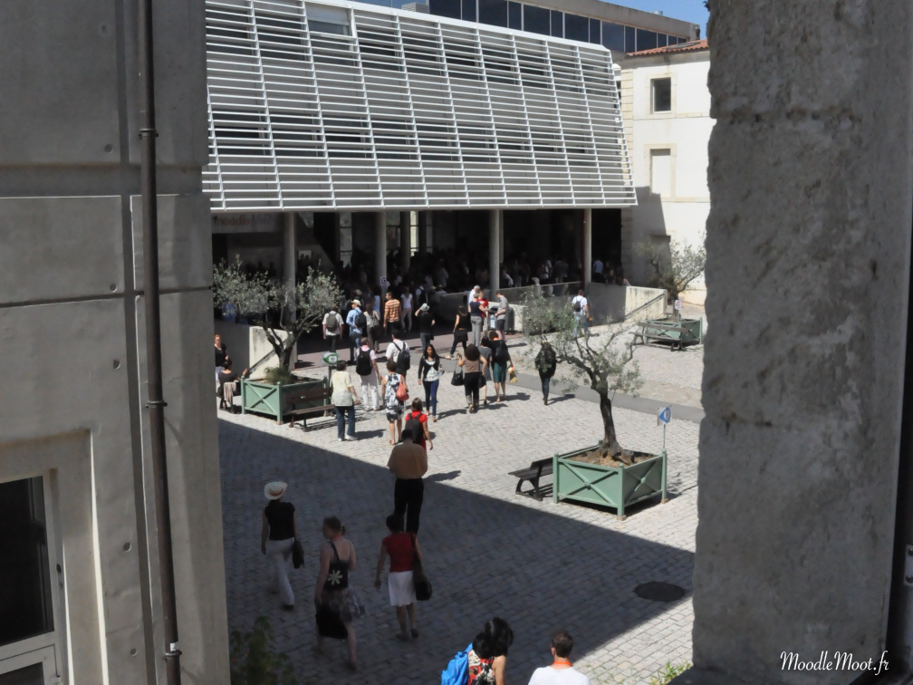 Photo 010