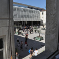 Photo 010