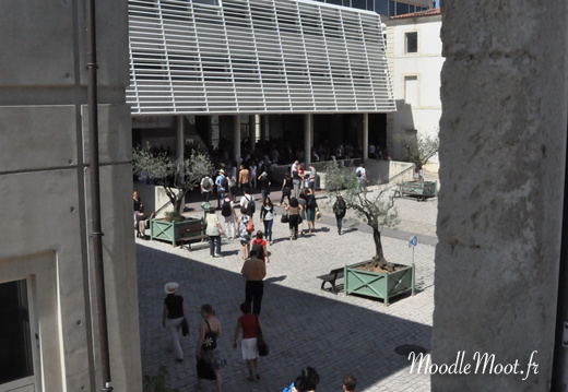 Photo 010