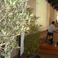DSC04844