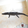 DSC01215