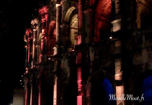 nimes arene rose