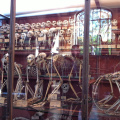 IMG 0967