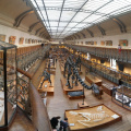 PANO 20140604 191650