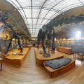 PANO 20140604 192002