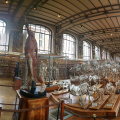 PANO 20140604 192408