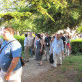 IMG 0580
