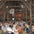 IMG 0596