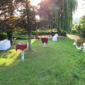 IMG 0569