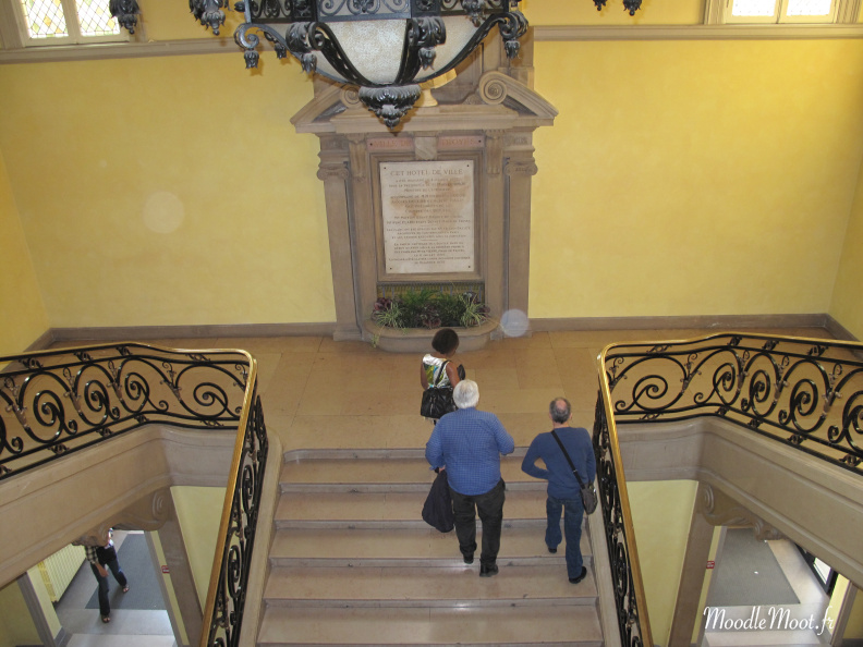 IMG 0438
