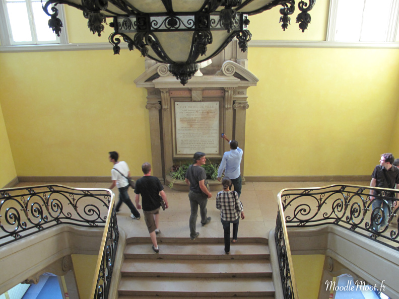 IMG 0441