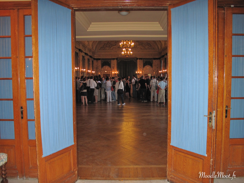 IMG 0455