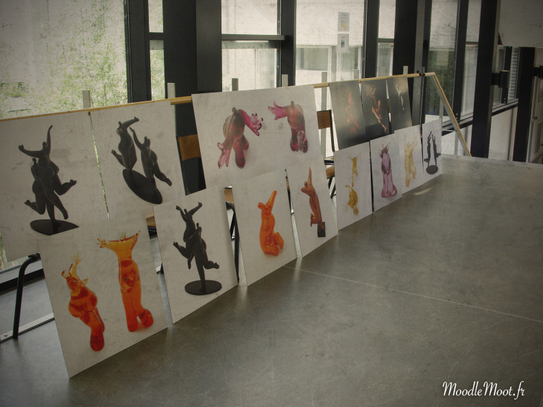 installation-expo4