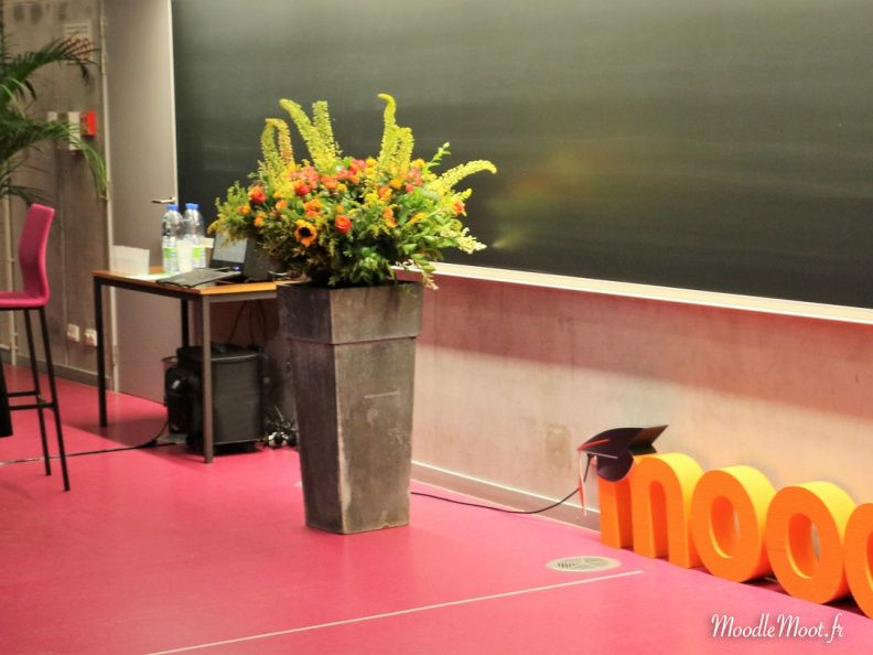 Honoris Causa (22)