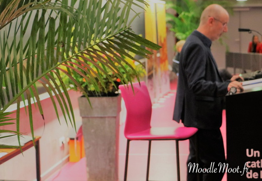 Honoris Causa (44)
