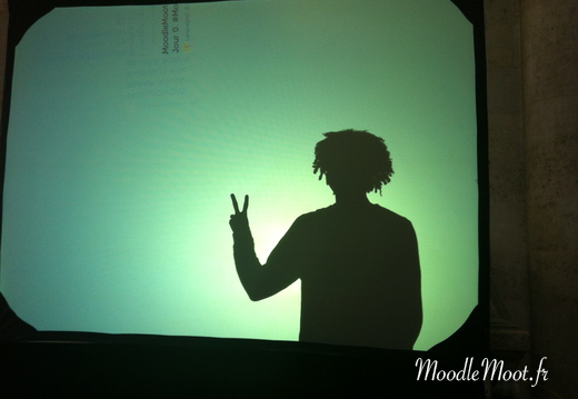 moodlemoot2013 9022541887 photo