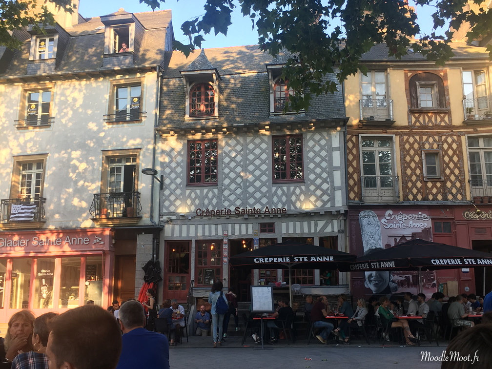 IMG 2445