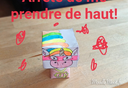 SuperBadassUnicornDuHaut