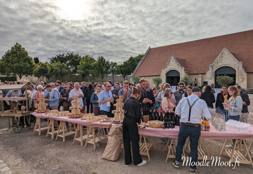 PXL 20220707 173047219