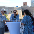 IMG 4129 B