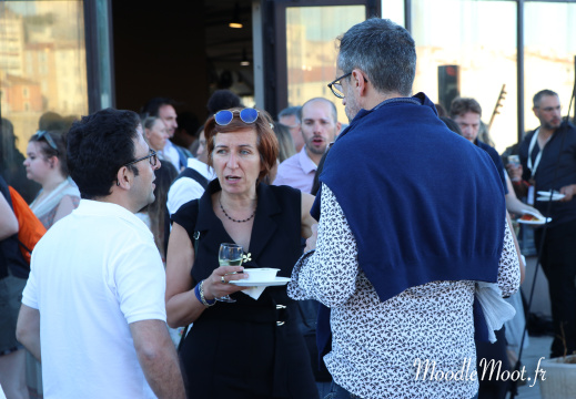 IMG 4137 B