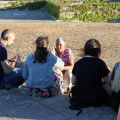 IMG 4138 B