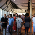 IMG 4141 B
