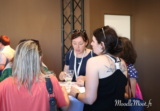 IMG 4142 B