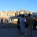 IMG 4146 B