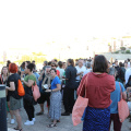 IMG 4150 B