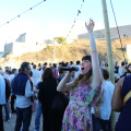 IMG 4159 B